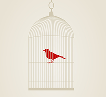 网页攻击器教程